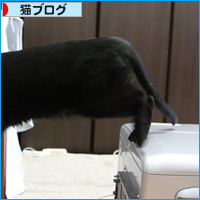 世界でいちばん、あたたかい場所_a0389088_18042921.jpg