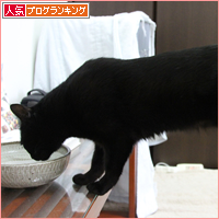 世界でいちばん、あたたかい場所_a0389088_18042970.jpg