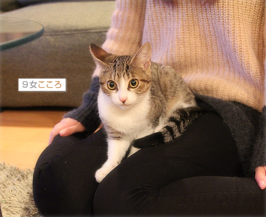 冬に感謝_a0389088_18043732.jpg