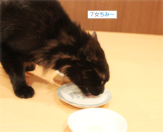 ポサ毛のために_a0389088_18043779.jpg