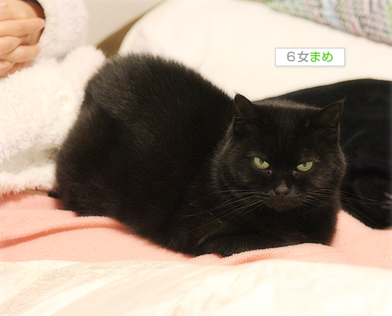 冬に感謝_a0389088_18043886.jpg
