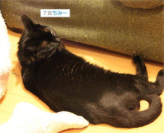 病院に行きました_a0389088_18044146.jpg