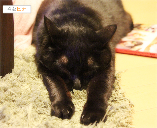 病院に行きました_a0389088_18044147.jpg