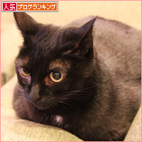 病院に行きました_a0389088_18044153.jpg