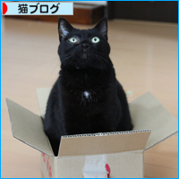 予想もしなかったお正月_a0389088_18044348.jpg