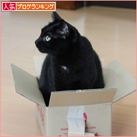 予想もしなかったお正月_a0389088_18044370.jpg