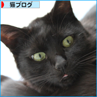 幻の猫だんご_a0389088_18044445.jpg