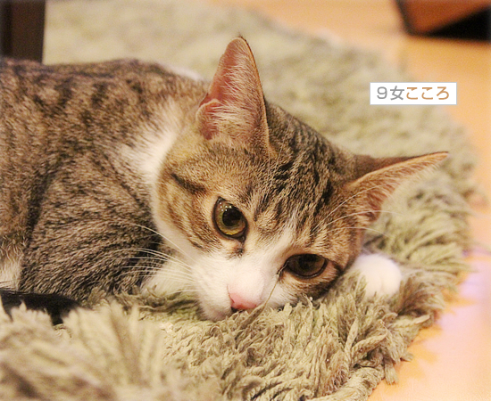 末っ子のチカラ_a0389088_18044639.jpg