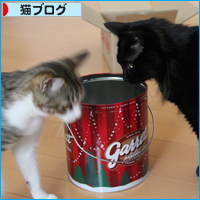 ついに、そんなものまで_a0389088_18044644.jpg