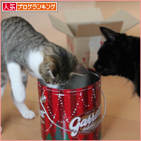ついに、そんなものまで_a0389088_18044698.jpg