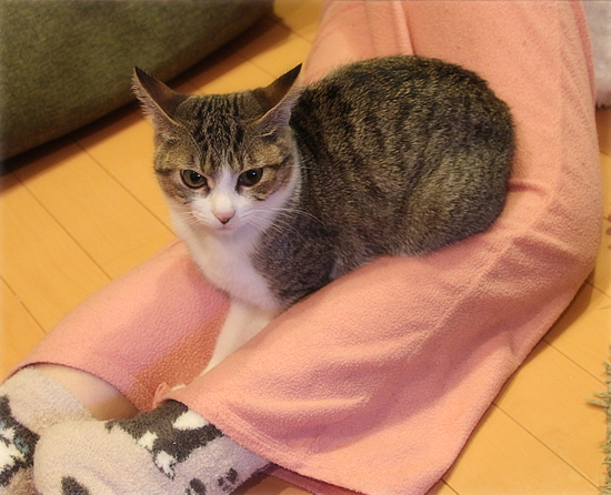 座右の銘「あきらめない」_a0389088_18044818.jpg