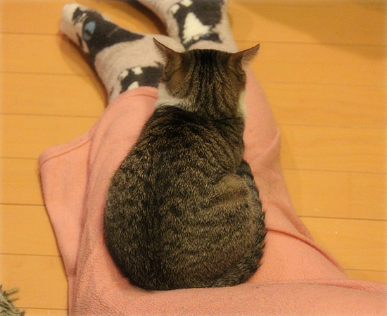 座右の銘「あきらめない」_a0389088_18044836.jpg