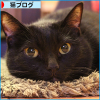 末っ子のチカラ_a0389088_18044861.jpg