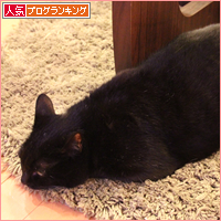 末っ子のチカラ_a0389088_18044875.jpg
