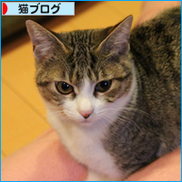 座右の銘「あきらめない」_a0389088_18044913.jpg