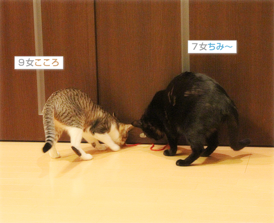 夜な夜な_a0389088_18044976.jpg