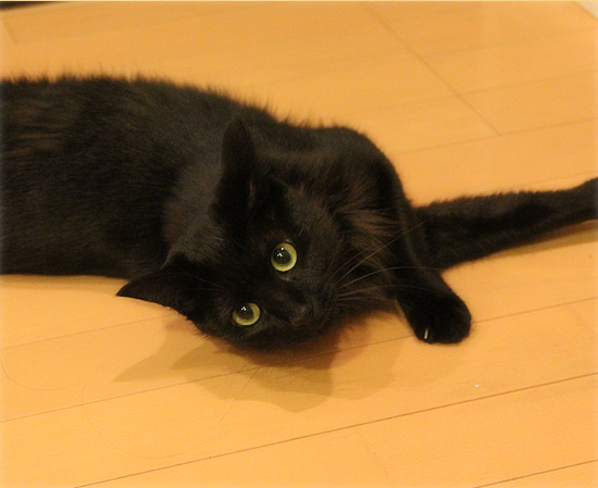 夜な夜な_a0389088_18045002.jpg