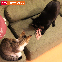夜な夜な_a0389088_18045029.jpg