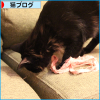 夜な夜な_a0389088_18045062.jpg