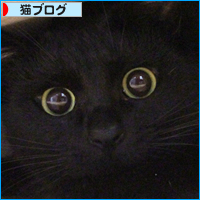 かくれんぼ_a0389088_18045172.jpg