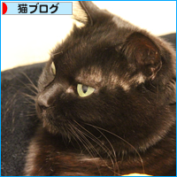 柚子と猫_a0389088_18045233.jpg