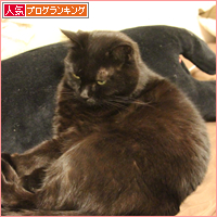 柚子と猫_a0389088_18045249.jpg
