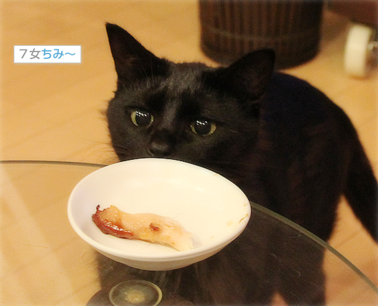 子猫たちのメリクリ_a0389088_18045492.jpg