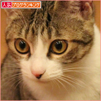 子猫たちのメリクリ_a0389088_18045531.jpg