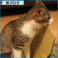 子猫たちのメリクリ_a0389088_18045574.jpg