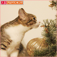 26日ですが、何か?_a0389088_18045618.jpg