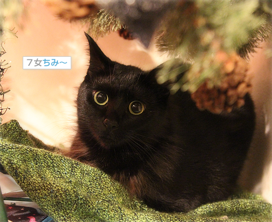 26日ですが、何か?_a0389088_18045623.jpg