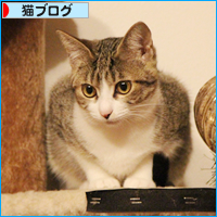 26日ですが、何か?_a0389088_18045664.jpg
