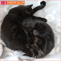アブノーマル_a0389088_18045833.jpg
