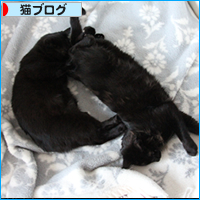 アブノーマル_a0389088_18045885.jpg