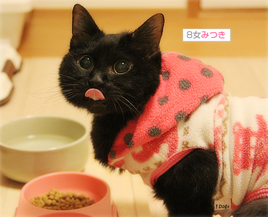 今年最後のみつきの日_a0389088_18045989.jpg