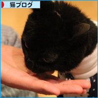 今年最後のみつきの日_a0389088_18050070.jpg