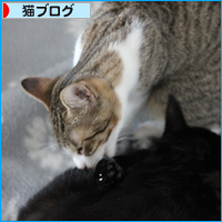 お姉ちゃんになったよ_a0389088_18050135.jpg