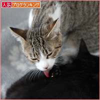 お姉ちゃんになったよ_a0389088_18050184.jpg