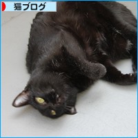 育ったポサ毛_a0389088_18050201.jpg