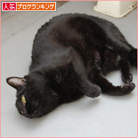 育ったポサ毛_a0389088_18050269.jpg