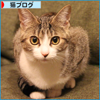 良いお年を_a0389088_18050406.jpg