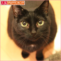 あけましておめでとうございます。_a0389088_18050441.jpg
