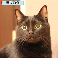 あけましておめでとうございます。_a0389088_18050486.jpg
