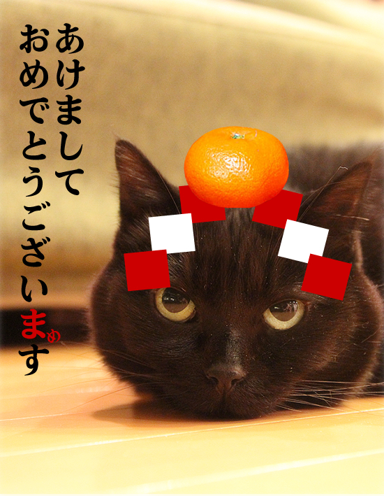 あけましておめでとうございます。_a0389088_18050489.jpg
