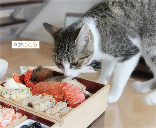 元旦を味わう_a0389088_18050561.jpg
