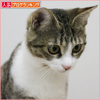 ようやく届いた!_a0389088_18051606.jpg