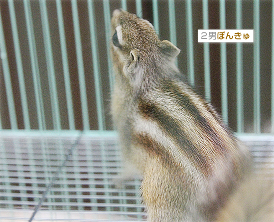 ようやく届いた!_a0389088_18051616.jpg