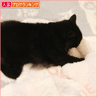たまには子猫に戻って_a0389088_18053222.jpg