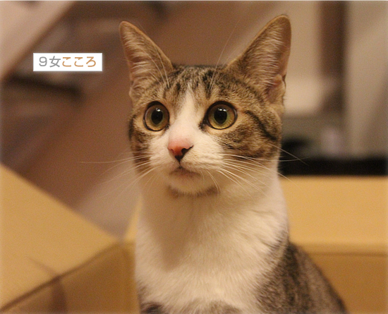 箱へのこだわり_a0389088_18053443.jpg