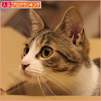 箱へのこだわり_a0389088_18053516.jpg